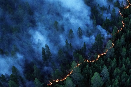 Ситуация с лесными пожарами в Заполярье стабилизировалась