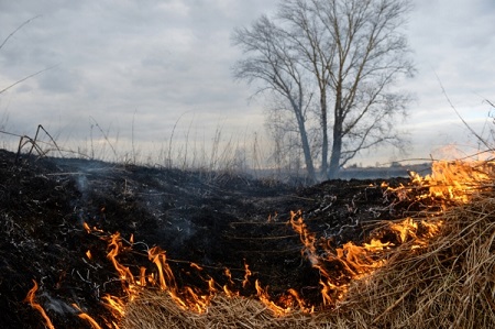 Площадь природного пожара в Ростовской области увеличилась до 5 тысяч кв. метров, привлечена авиация