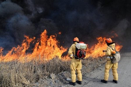 Природный пожар ликвидирован на площади 3,5 га в Ростовской области