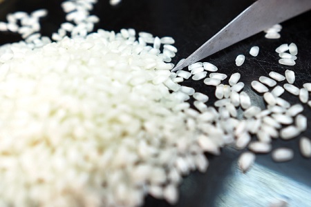 Краснодарский край приступил к уборке риса, ожидает хороший урожай