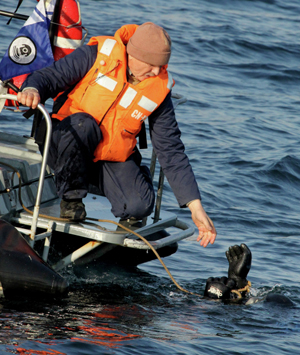Найдены тела мужчины и ребенка, лодка которых перевернулась на реке в Вологодской области