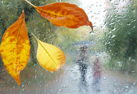 Дождь с грозой и градом прогнозируется на Ставрополье
