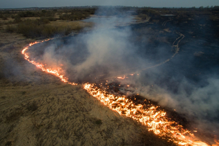 Локализовано возгорание сухой травы вблизи оренбургского поселка
