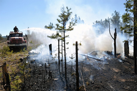 Природный пожар на площади 94 га ликвидирован вблизи ульяновского села