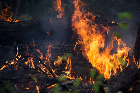 Природный пожар угрожает населенному пункту в Оренбуржье, введен режим ЧС