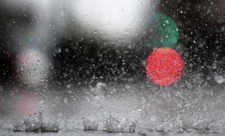 Москвичей призывают переждать 16-часовой дождь дома