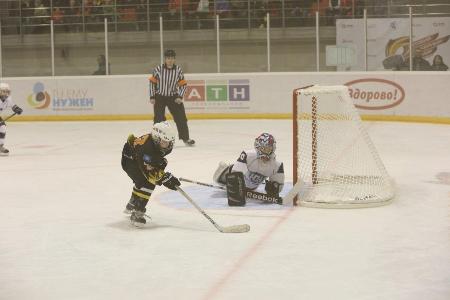 Детский турнир по хоккею памяти Александра Козицына стартовал в Свердловской области