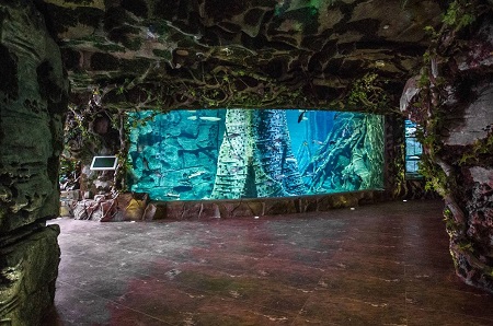 Приморский океанариум открыл свои двери на о.Русский во Владивостоке