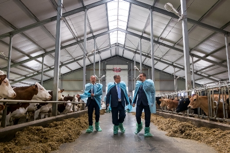 Депутаты аграрного комитета Госдумы изучили воронежский опыт развития молочного и мясного животноводства