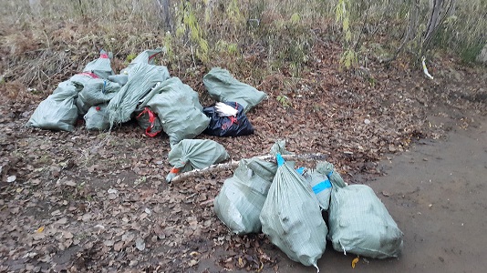 Волонтеры собрали более 100 кг мусора на территории памятника природы "Голубые озера"