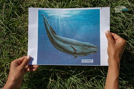 Скелет древнего кита нашли в Крыму