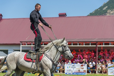 Лучшую кобылу и жеребца выбрали на  шоу арабских лошадей на Ставрополье