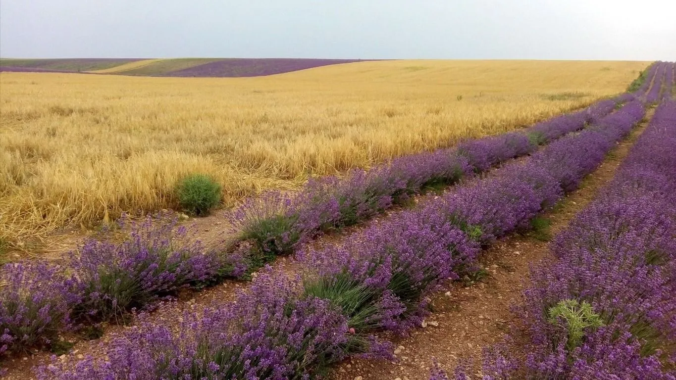 Фото Людмилы Скипиной,