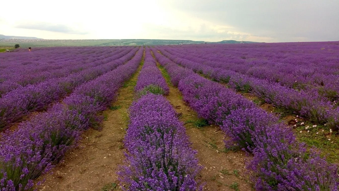 Фото Людмилы Скипиной,