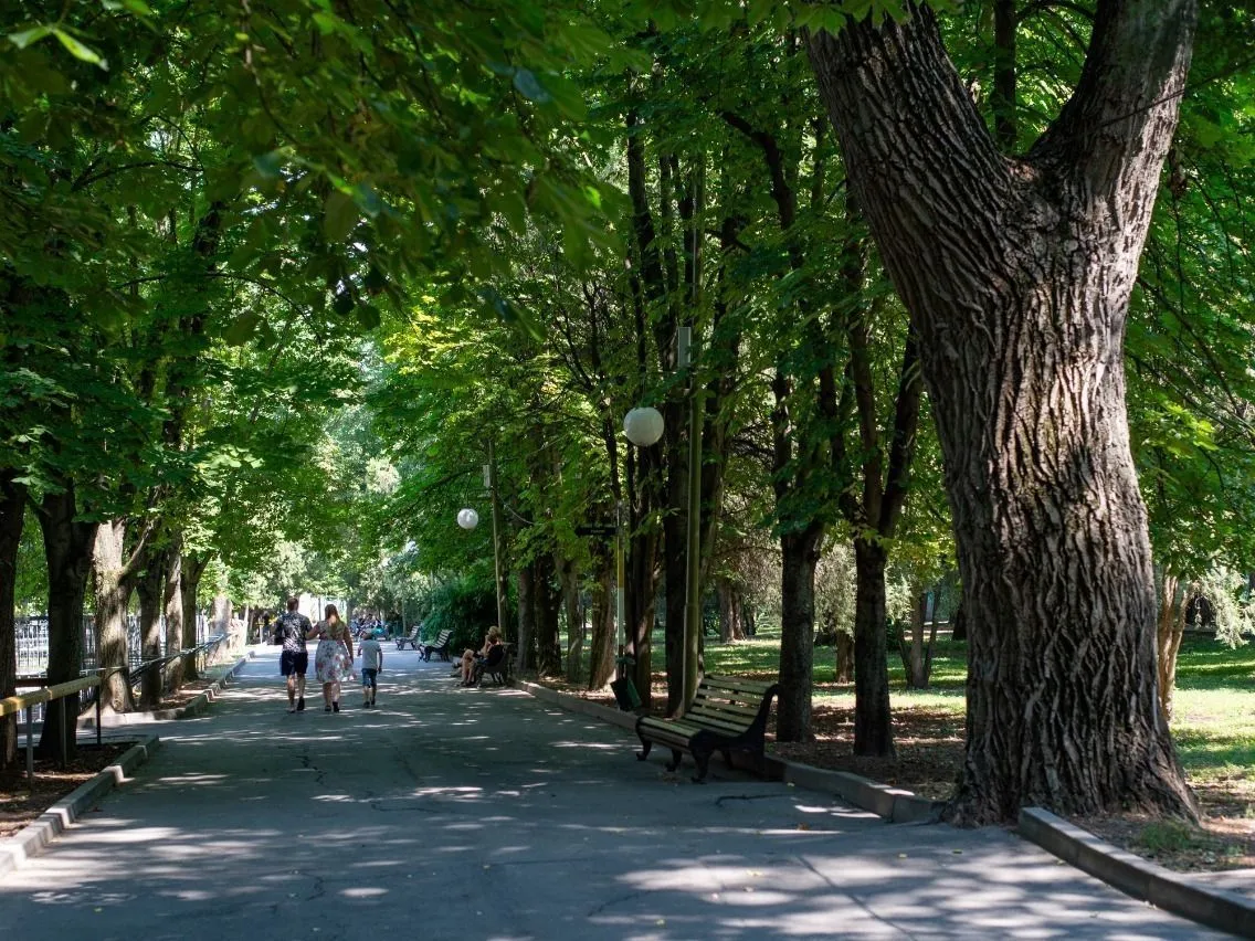 Фото предоставлено Ростовским-на-Дону зоопарком