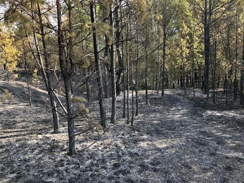 Фото прокуратуры Воронежской области