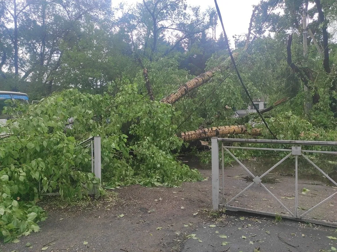 Фото мэрии Белогорска