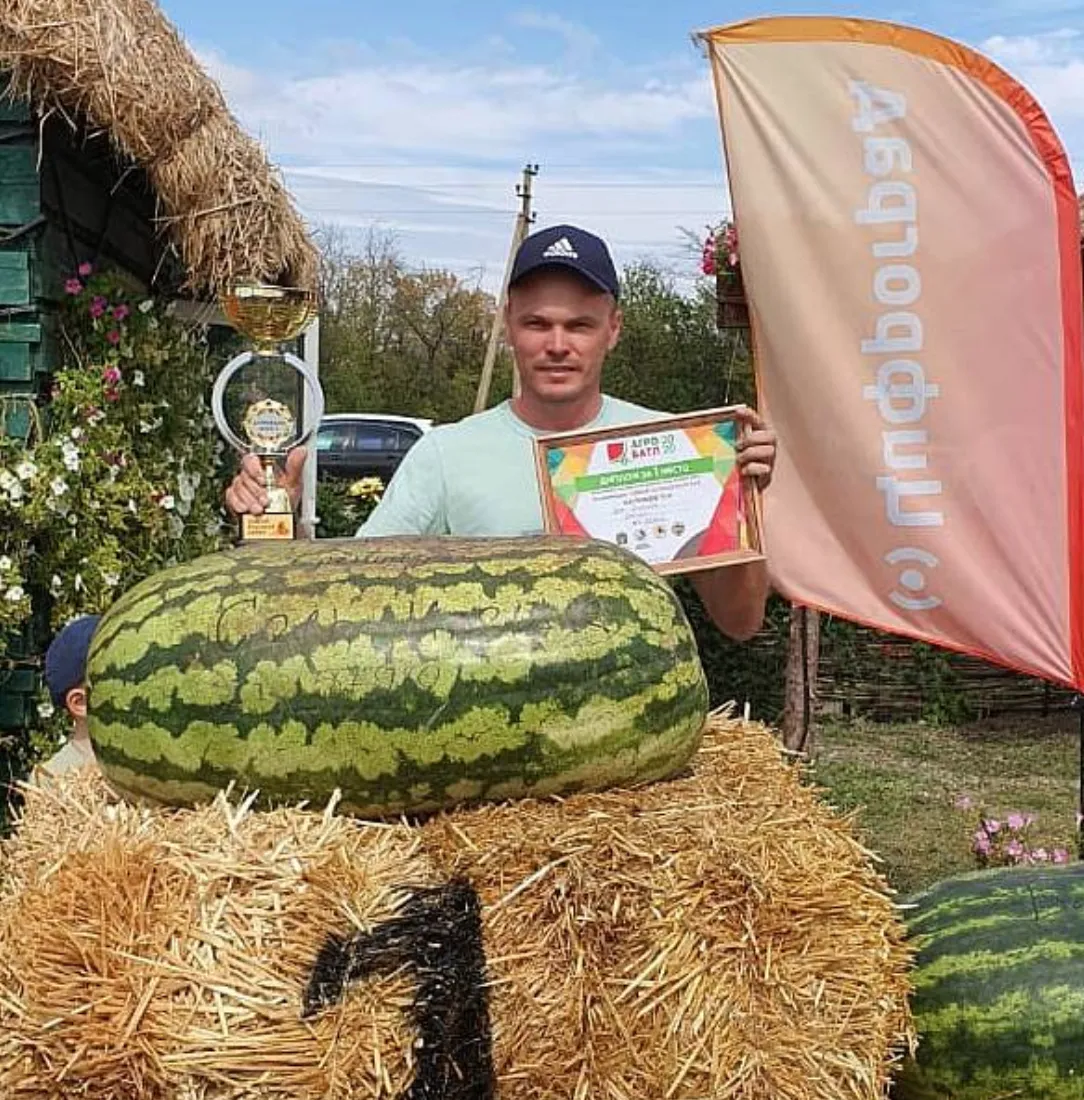 57-килограммовый арбуз вырастили в Соль-Илецке