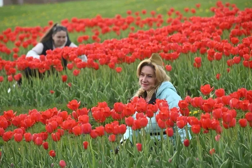 Выходные на День Победы продлятся 4 дня. Фото