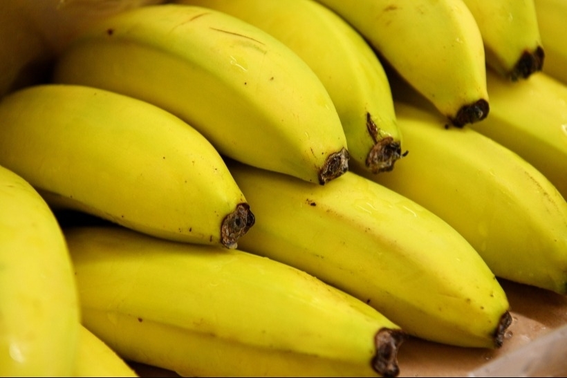 Банан, за счет содержания хармина и витамина B, помогающих в выработке гормонов, является самым сильным фруктом, вызывающим эйфорию. Фото