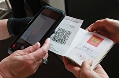 Прибывших без QR-кодов на вокзал Севастополя отправляют покупать обратные билеты