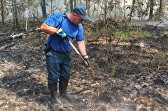 Более 420 га леса горит в Югре на территории ранее потушенных пожаров - МЧС