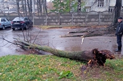 Последствия непогоды устраняют в Кирове