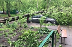 Ураган в столичном регионе