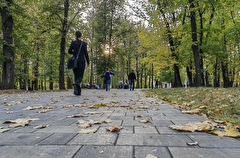 Теплая погода, характерная для сентября, будет в Москве на следующей неделе