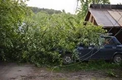 Любимов поручил оперативно устранить последствия урагана в Клепиковском районе