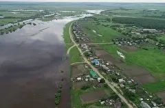 От паводка в Амурской области пострадало 35 тыс. га посевов