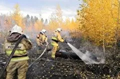 Пожарные ликвидировали возгорание валежника и сухой растительности в Тольяттинском лесничестве