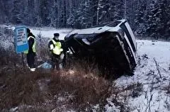 Пассажирский автобус сошел с трассы и перевернулся в Свердловской области, один человек погиб, восемь пострадали