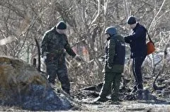 Ночные взрывы в приграничном с Украиной белгородском селе произошли в нежилой зоне - губернатор