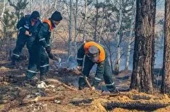 Высокий уровень пожарной опасности сохранится в Курганской области до середины недели