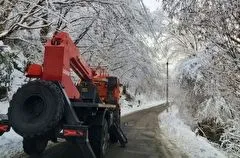 Полтора десятка поселков и хуторов в Туапсинском районе Краснодарского края остались без электричества из-за аварии