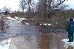 Паводок в Новгородской области подтопил 7 мостов, 13 автодорог и около 50 приусадебных участков