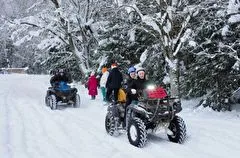 Нижегородская область ввела налоговые льготы для субъектов агро- и экотуризма