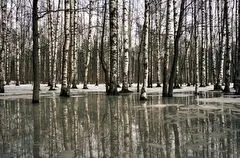 Парк гатчинского музея-заповедника с 3 апреля закрывается на весеннюю просушку