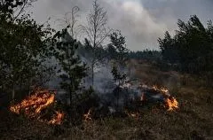 Количество лесных пожаров в Калужской области достигло максимального значения за последние три года