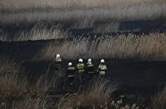 Пожар в свердловское село Шайдуриха мог прийти с камышей