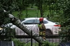 Последствия непогоды устраняют в Тульской области