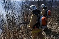 Челябинскую область признали готовой к пожароопасному сезону - власти