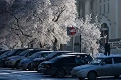 Московский дептранс рекомендовал не парковаться вблизи деревьев из-за сильного ветра