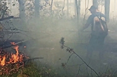 Число лесных пожаров в Челябинской области за 2 месяца снизилось в 12 раз