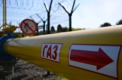 Пять сел остались без газа в Дагестане после падения дерева на газопровод