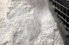 Кишечная палочка обнаружена в 20 тоннах соевой муки в Приморье - Россельхознадзор