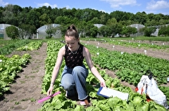 Образовательный кластер для подготовки аграриев открыли в Ярославской области