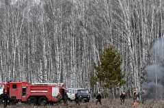Площадь лесных пожаров в Красноярском крае выросла до 3,5 тыс. га