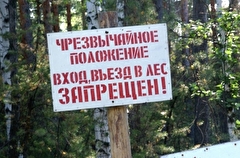 Особый противопожарный режим введен в Томской области до конца июля